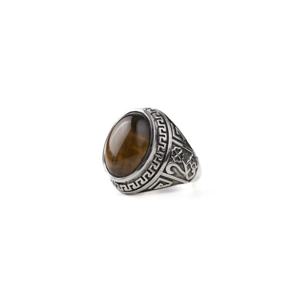 Tiger's Eye Meandros Silver Ring for Men